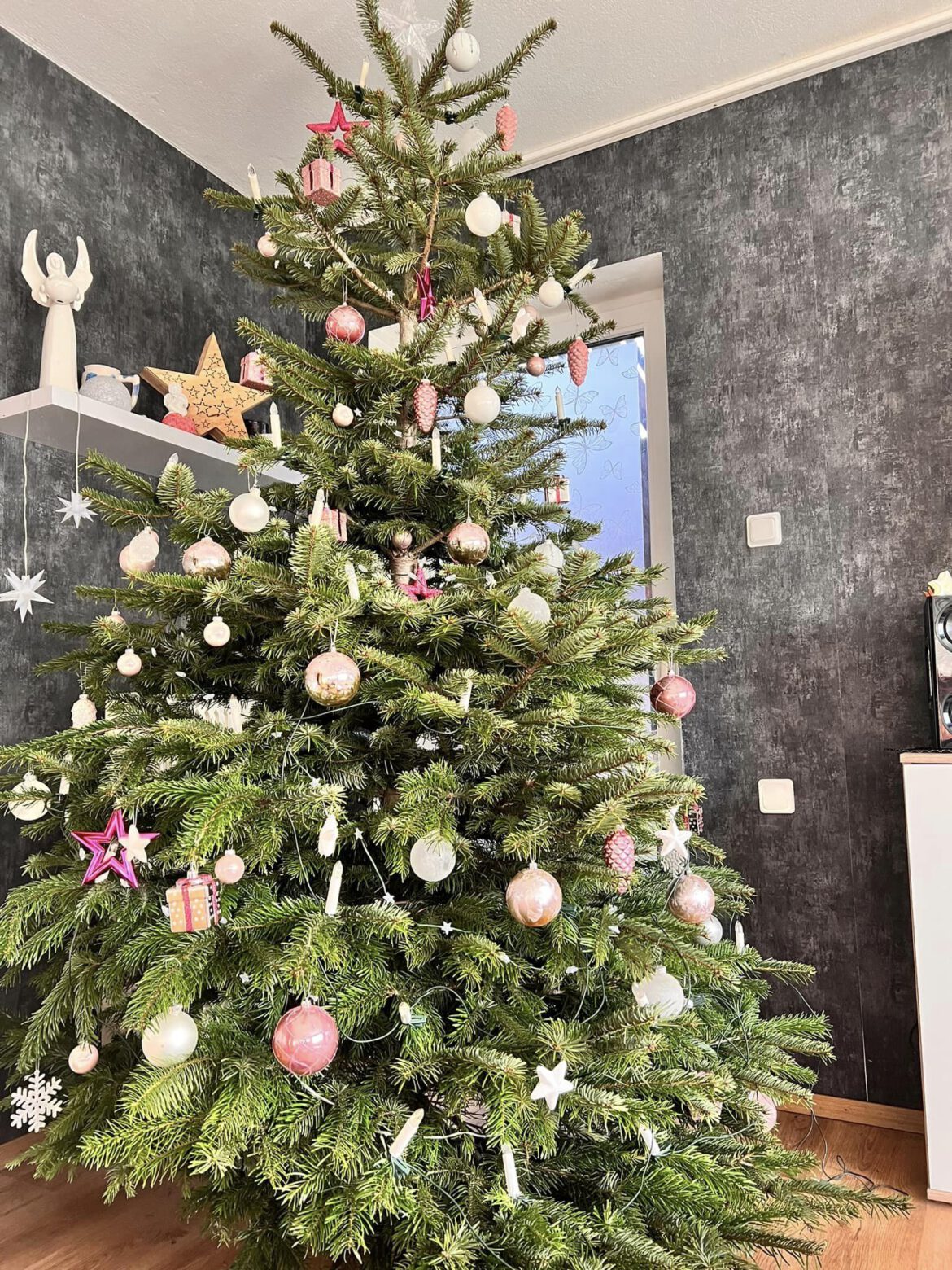 Ein liebgewonnene Tradition die Spende Weihnachtsessen+Tannenbaum der